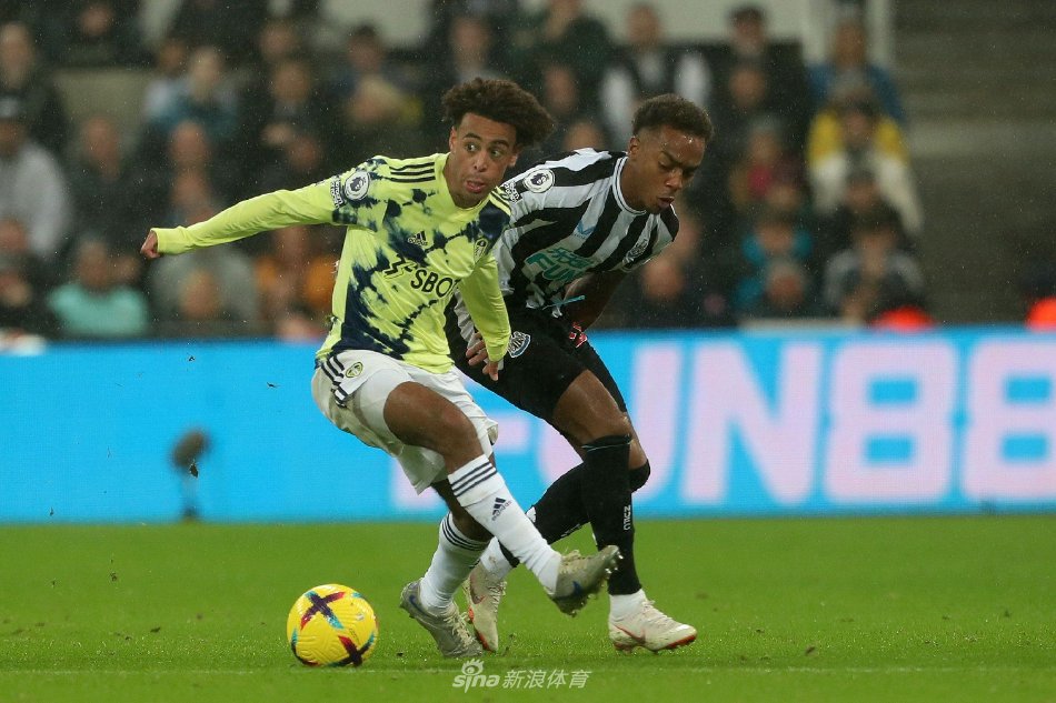 来自亚洲 来自亚洲